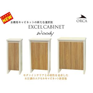 ジェックス 扉付キャビネット 610W-X クロ <木 目> : magpet
