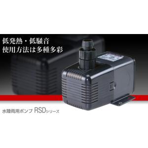 レイシー RSD-20A 50Hz 水陸両用ポンプ 流量毎分20L 送料無料 管理80