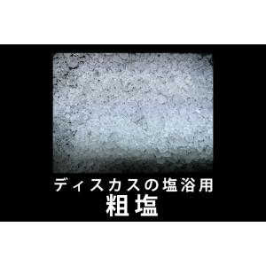 【ディスカス治療塩】ディスカス飼育の塩浴用 粗塩 100g 【あらしお あらじお 塩浴 塩水浴 万能薬 高品質な粗塩】