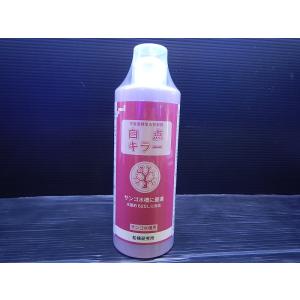 【飼育用品・添加剤】 白点キラー サンゴ水槽 500ml 　松橋研究所【駆除剤】