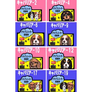 ドライブ レコーダー ステッカー 犬 シール ...の詳細画像2