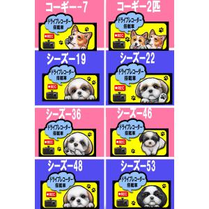ドライブ レコーダー ステッカー 犬 シール ...の詳細画像3