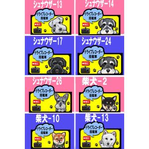 ドライブ レコーダー ステッカー 犬 シール ...の詳細画像5