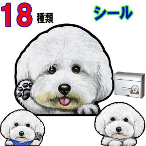 アフロ犬グッズの商品一覧 通販 Yahoo ショッピング
