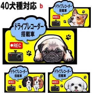 マグネット ドライブレコーダー搭載 録画 ステッカー 犬 可愛い 車用 あおり運転 防止 抑制 オーダーメイド グッズ プレゼント おしゃれ かわいい 顔