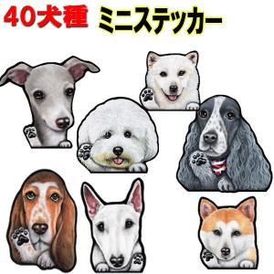 ａ6 ミニステッカー 犬 シール 可愛い 車 壁 玄関 グッズ プレゼント ドッグ イラスト シルエット かわいい 顔 21 19s ステッカーグッズのペットちゃん 通販 Yahoo ショッピング