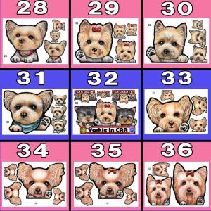 犬 ステッカー ペット ヨークシャテリア ヨー...の詳細画像4