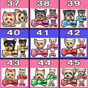 犬 ステッカー ペット ヨークシャテリア ヨー...の詳細画像5