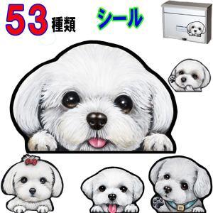 犬 ステッカー ペット マルチーズ シール 可愛い 車 愛犬 オーダー