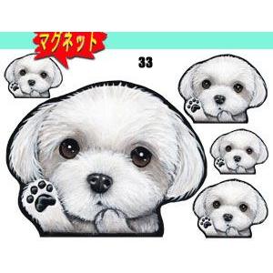 マグネット 犬ステッカー マルチーズ33 グッズ ネーム入れ不可 愛犬 雑貨 車 犬雑貨 25 33 M ステッカーグッズのペットちゃん 通販 Yahoo ショッピング
