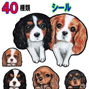 キャバリア シールの商品一覧 通販 Yahoo ショッピング