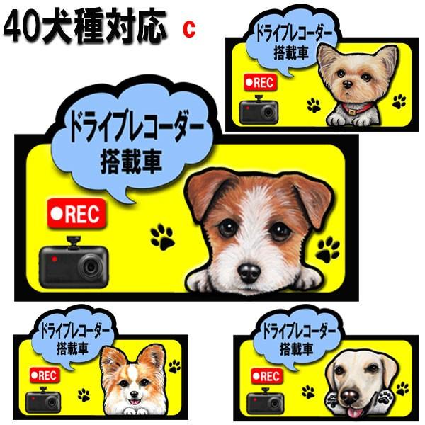 ドライブ レコーダー ステッカー 犬 シール 車 ドラレコ おしゃれ おもしろ 作成 防水 アウトド...