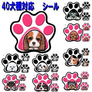 パウ ステッカー 犬 シール 肉球 足跡 可愛い 車 壁 玄関 グッズ プレゼント ドッグ イラスト シルエット かわいい 顔 Pw 1 3 ステッカーグッズのペットちゃん 通販 Yahoo ショッピング