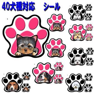 パウ ステッカー 犬 シール 肉球 足跡 可愛い 車 壁 玄関 グッズ プレゼント ドッグ イラスト シルエット かわいい 顔 Pw 4 1 ステッカーグッズのペットちゃん 通販 Yahoo ショッピング