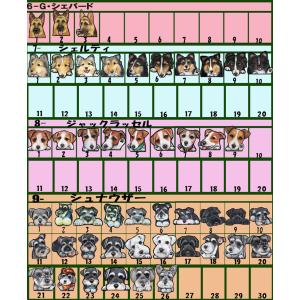 サコッシュ ポシェット ショルダー お散歩バッ...の詳細画像5