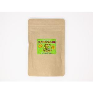 ポゴナクラブ レオパ牧場 お徳用エコパック レオパカルシウム ＋D3　70g(10%増量)※スプーン付き