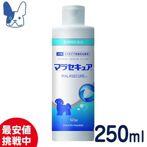 【SALE】マラセチア皮膚炎治療薬 犬用 マラセキュアシャンプー 250ml [動物用医薬品]［国産...