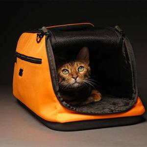 SLEEPYPOD  AIR  (スリーピーポッド　エアー)　ORANGE DREAM｜petech