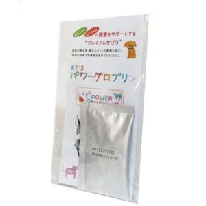 ＫＰＳ　パワーグロブリン　10ｇ　【メール便対応】