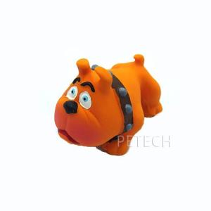 サンジョルディ ボス犬   即日発送対象
