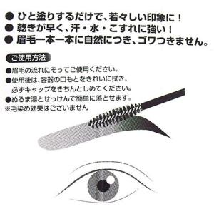 メンズ眉墨 ブラック【眉毛の白髪隠し】 【メー...の詳細画像1