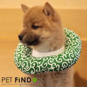 唐草模様 エリザベスカラー エリカラ 犬 猫 用 カラフルエリザベスカラー