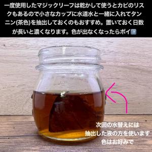 マジックリーフ モモタマナ・リーフ 5枚入りの詳細画像5