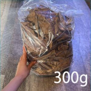 マジックリーフ（1袋約30g）送料無料 ビーシュリンプやベタの水作りに