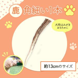 シカ角　鹿角　細い　13cm　犬 おもちゃ 鹿の角 兵庫県 犬のおもちゃ 犬 犬用 噛む ドッグガム...