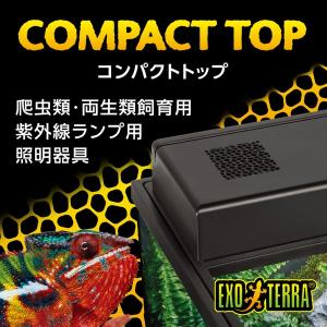 【箱売り 6個セット】◇ジェックス コンパクト...の詳細画像2