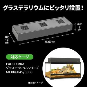 【箱売り 6個セット】◇ジェックス コンパクト...の詳細画像3