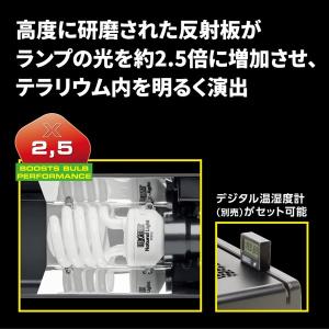 【箱売り 6個セット】◇ジェックス コンパクト...の詳細画像4