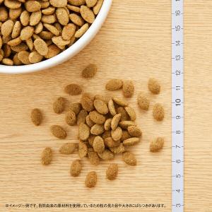 【3kg×2個】◇ニュートロ シュプレモ 超小...の詳細画像2