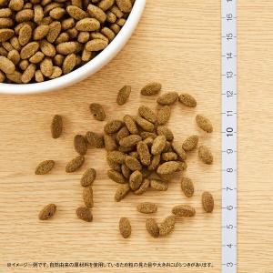 【2kg×2個】◇ニュートロ キャット ナチュ...の詳細画像1