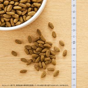 【2kg×2個】◇ニュートロ キャット ナチュ...の詳細画像1