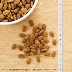 【4kg×2個】◇ニュートロ シュプレモ 草原...の詳細画像2