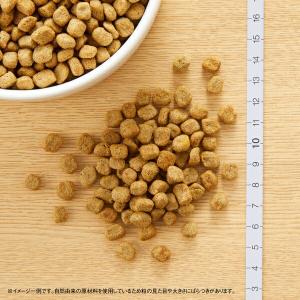 ◇ニュートロ ナチュラルチョイス 減量用 超小...の詳細画像1