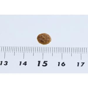 ◇ニュートロ キャット シュプレモ 子猫用 チ...の詳細画像1