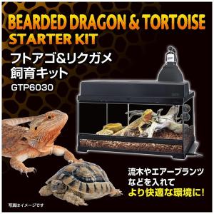 GEX(ジェックス) フトアゴ&リクガ...の詳細画像2
