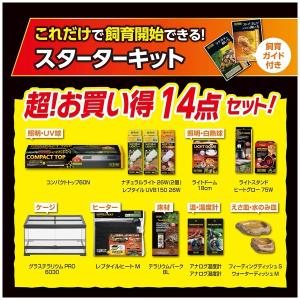 GEX(ジェックス) フトアゴ&リクガ...の詳細画像3