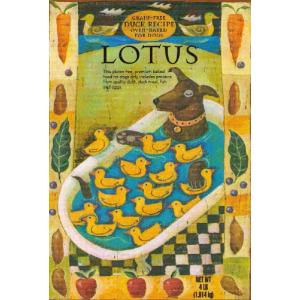 LOTUS ロータス グレインフリー ダックレシピ 成犬用 小粒 800g