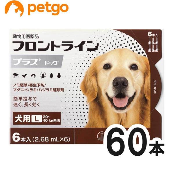 【10箱セット】犬用フロントラインプラスドッグL 20kg〜40kg 6本（6ピペット）（動物用医薬...