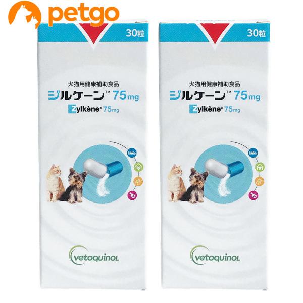 【2個セット】ジルケーン 75mg