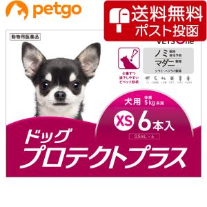 ベッツワン ドッグプロテクトプラス 犬用 XS 5kg未満 6本