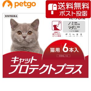 ベッツワン キャットプロテクトプラス 猫用 6本 (動物用医薬品)