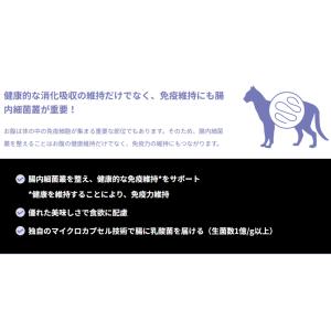 【ネコポス(同梱不可)】ピュリナ プロプラン ...の詳細画像3