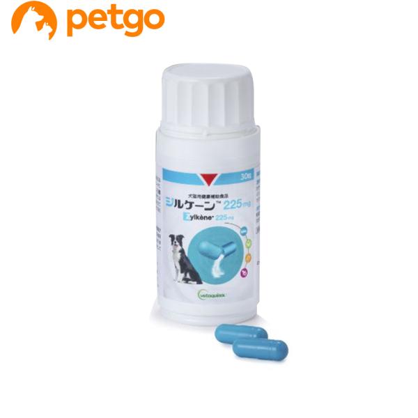 ジルケーン 225mg【在庫限り】