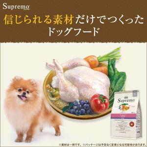 ニュートロ シュプレモ 超小型犬〜小型犬用 成...の詳細画像1