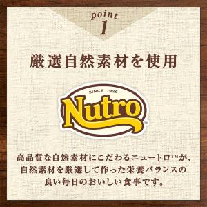 ニュートロ デイリーディッシュ キャット シニ...の詳細画像1