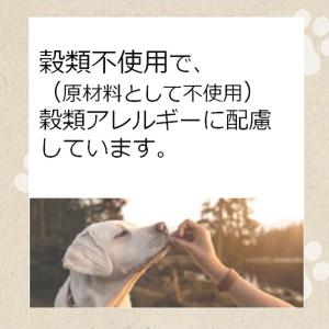 メディコートアドバンス グレインフリー チキン...の詳細画像3